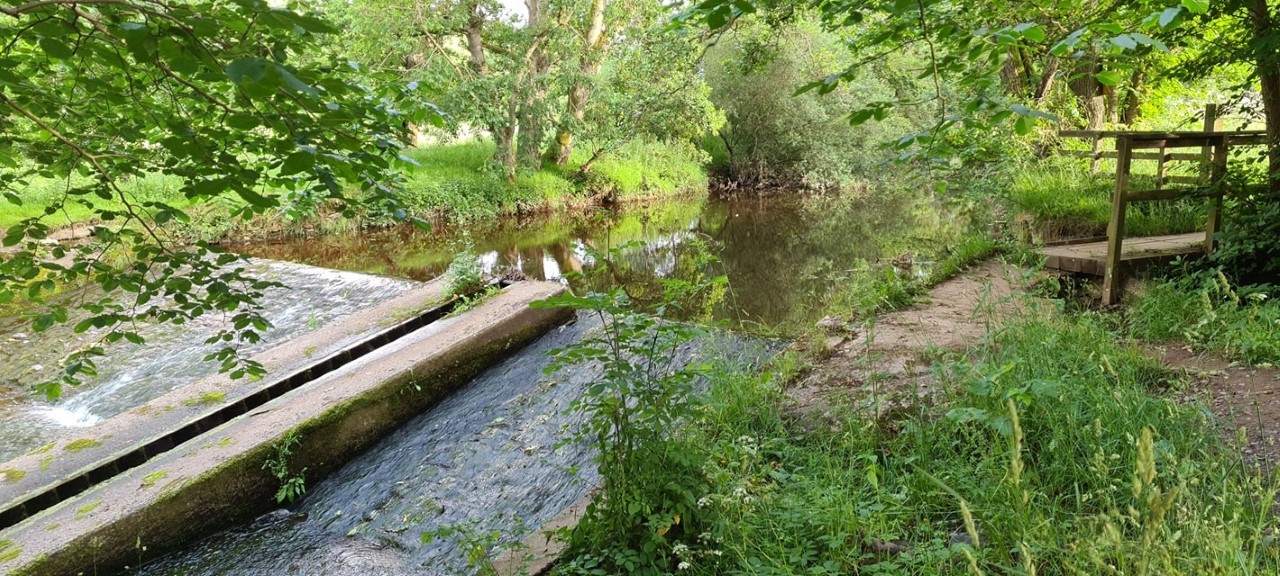 Scottish Borders Caravan Park, Camping Site Bonchester Bridge Park