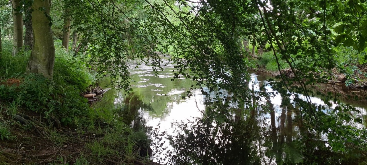Scottish Borders Caravan Park, Camping Site Bonchester Bridge Park