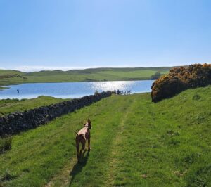 Water Sports Bonchester Bridge Caravan and Camping Marianne Water Sports Nearby Bonchester Bridge Caravan & Camping