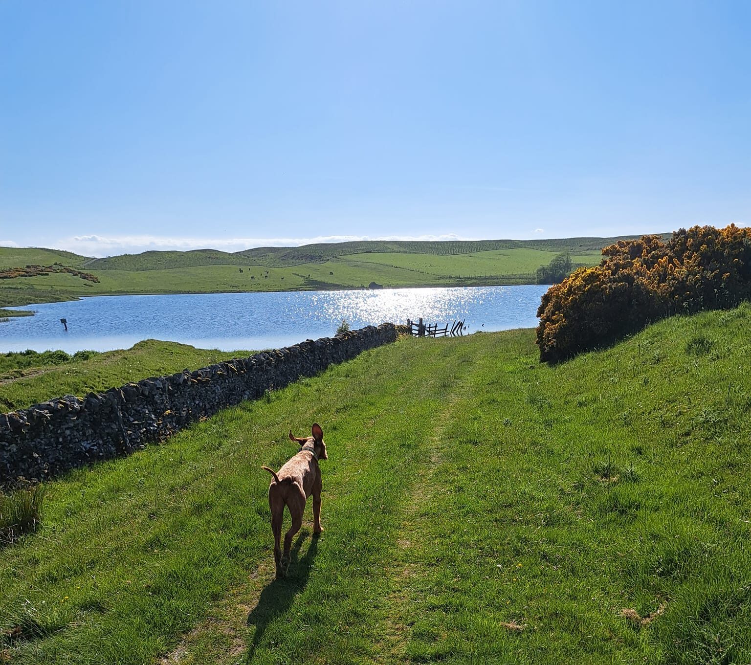 Water Sports Nearby Bonchester Bridge Caravan & Camping