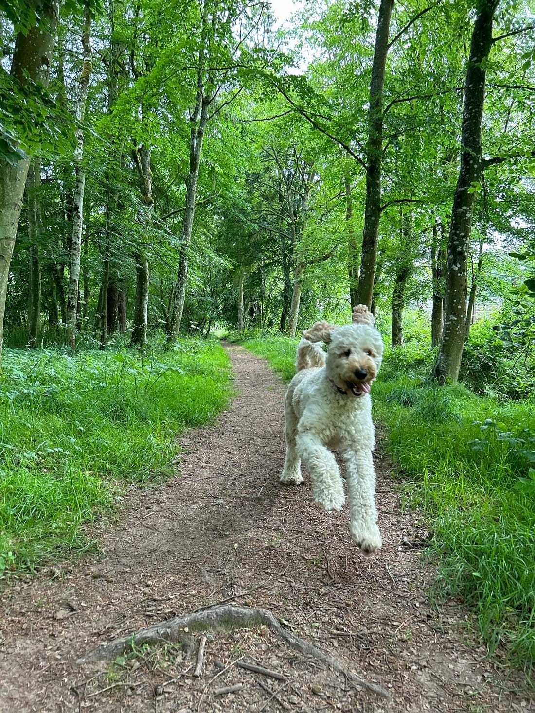 Bonchester Bridge Caravan & Camping Park Book A Pitch