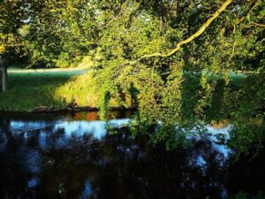 Bonnie Park Riverside